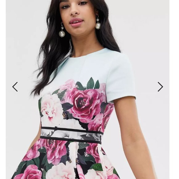 Ted Baker Wilmana magnificent floral skater dress size 2 nwot - Picture 3 of 11